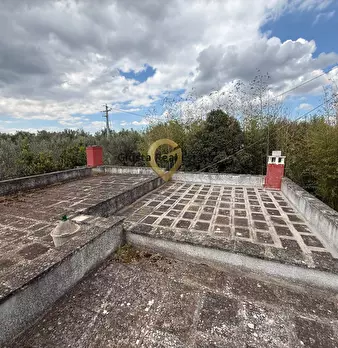 Foto annuncio 18