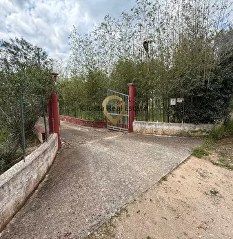 Foto annuncio 22