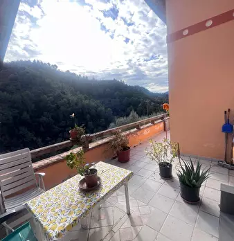 Foto annuncio 14