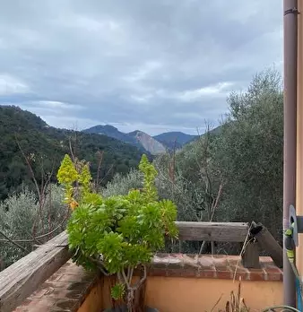 Foto annuncio 4