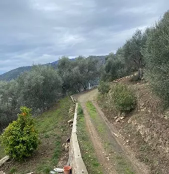 Foto annuncio 17