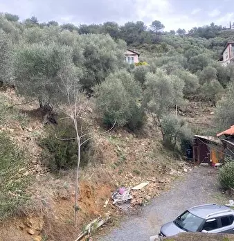 Foto annuncio 18