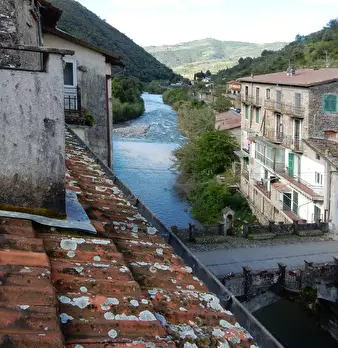 Foto annuncio 7