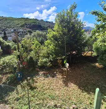 Foto annuncio 31