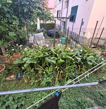 Foto annuncio 33