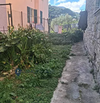 Foto annuncio 35