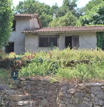 Foto annuncio 1
