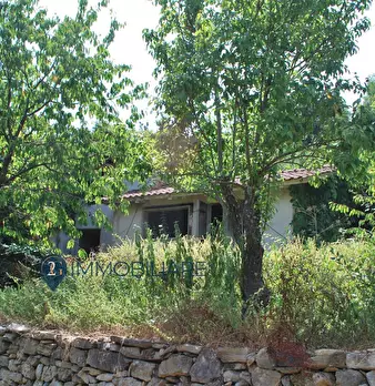 Foto annuncio 2
