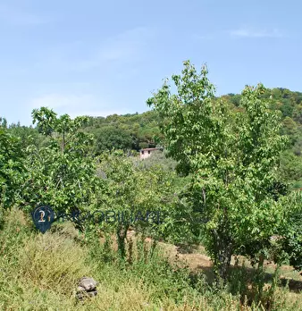 Foto annuncio 15