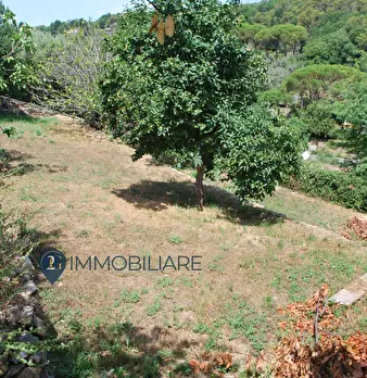 Foto annuncio 11