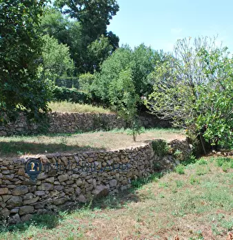 Foto annuncio 12