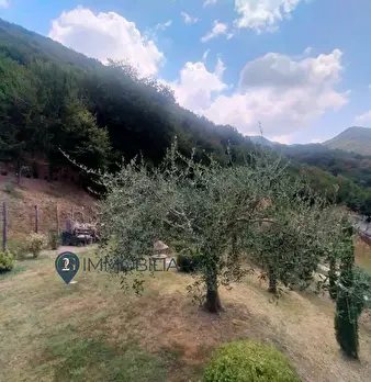 Foto annuncio 9