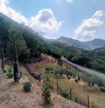 Foto annuncio 30