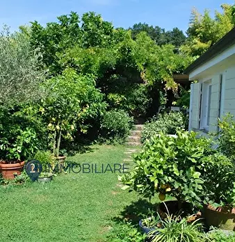 Foto annuncio 7