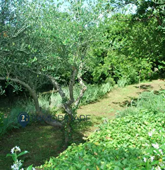 Foto annuncio 20