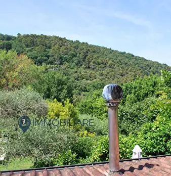 Foto annuncio 21
