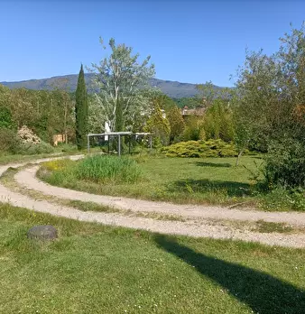 Foto annuncio 31
