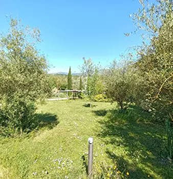 Foto annuncio 4