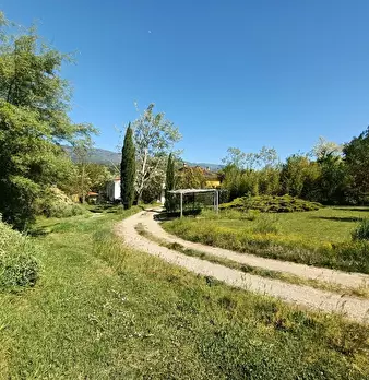 Foto annuncio 6
