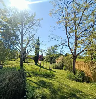 Foto annuncio 36