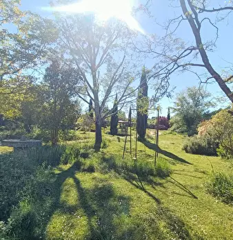 Foto annuncio 34