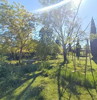 Foto annuncio 41