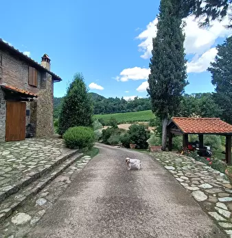 Foto annuncio 13