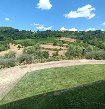 Foto annuncio 28