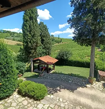 Foto annuncio 24