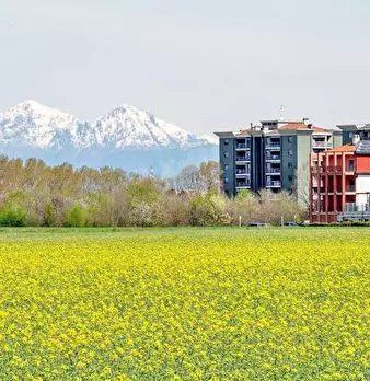 Foto annuncio 1
