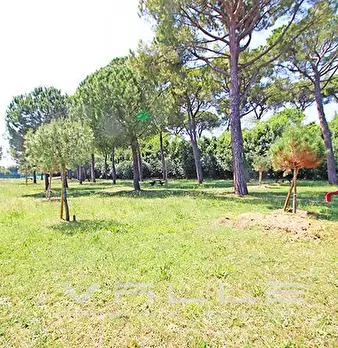 Foto annuncio 10