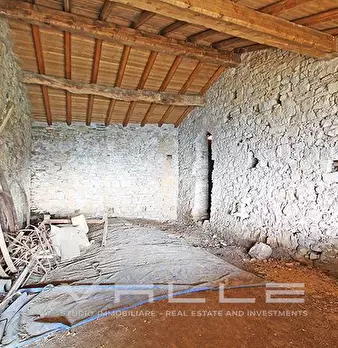 Foto annuncio 12