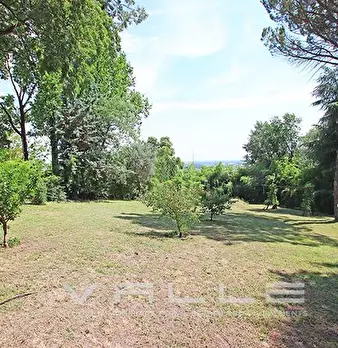 Foto annuncio 17