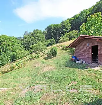 Foto annuncio 9