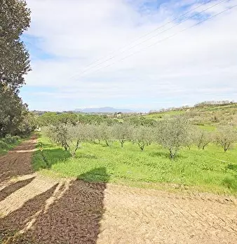 Foto annuncio 53