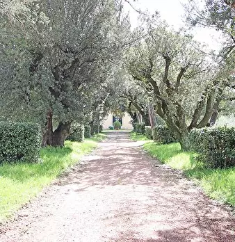 Foto annuncio 55