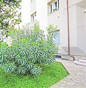 Foto annuncio 11