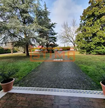 Foto annuncio 29