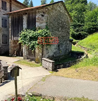 Foto annuncio 46