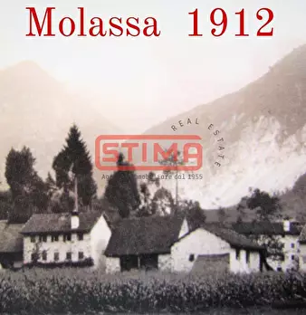 Foto annuncio 13