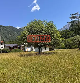 Foto annuncio 18