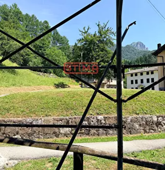 Foto annuncio 24