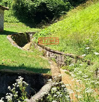 Foto annuncio 6