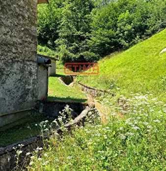 Foto annuncio 69
