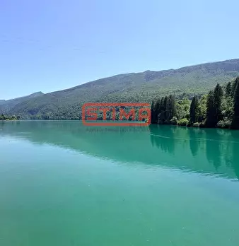 Foto annuncio 77