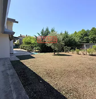 Foto annuncio 60