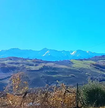Foto annuncio 3