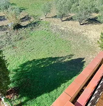Foto annuncio 18