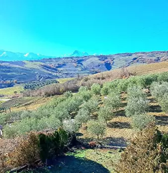 Foto annuncio 20