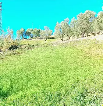 Foto annuncio 21